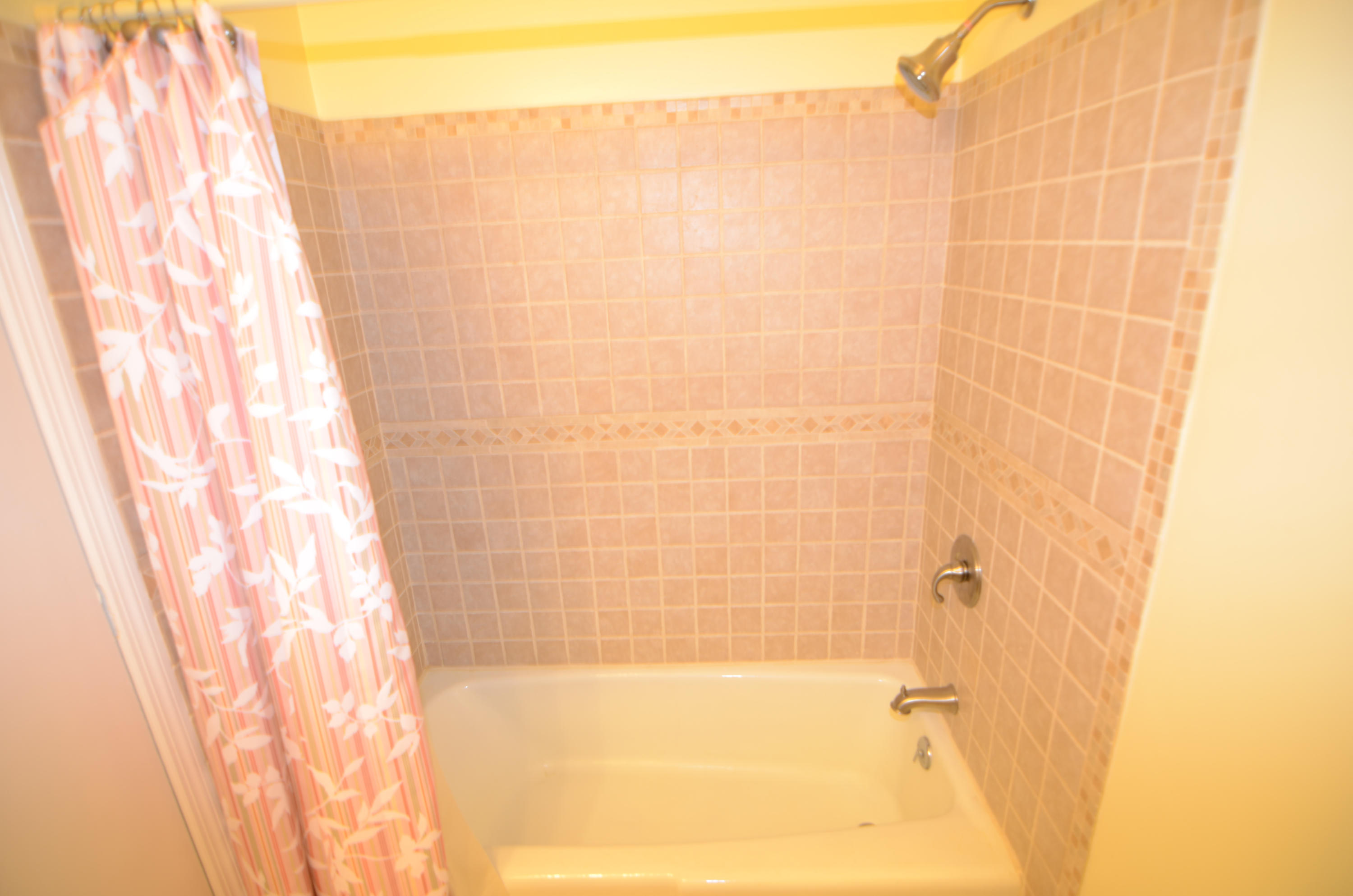 1953 Ivy Hall Road Charleston, SC 29407 - Photo 19 of 22 19 full bath 1