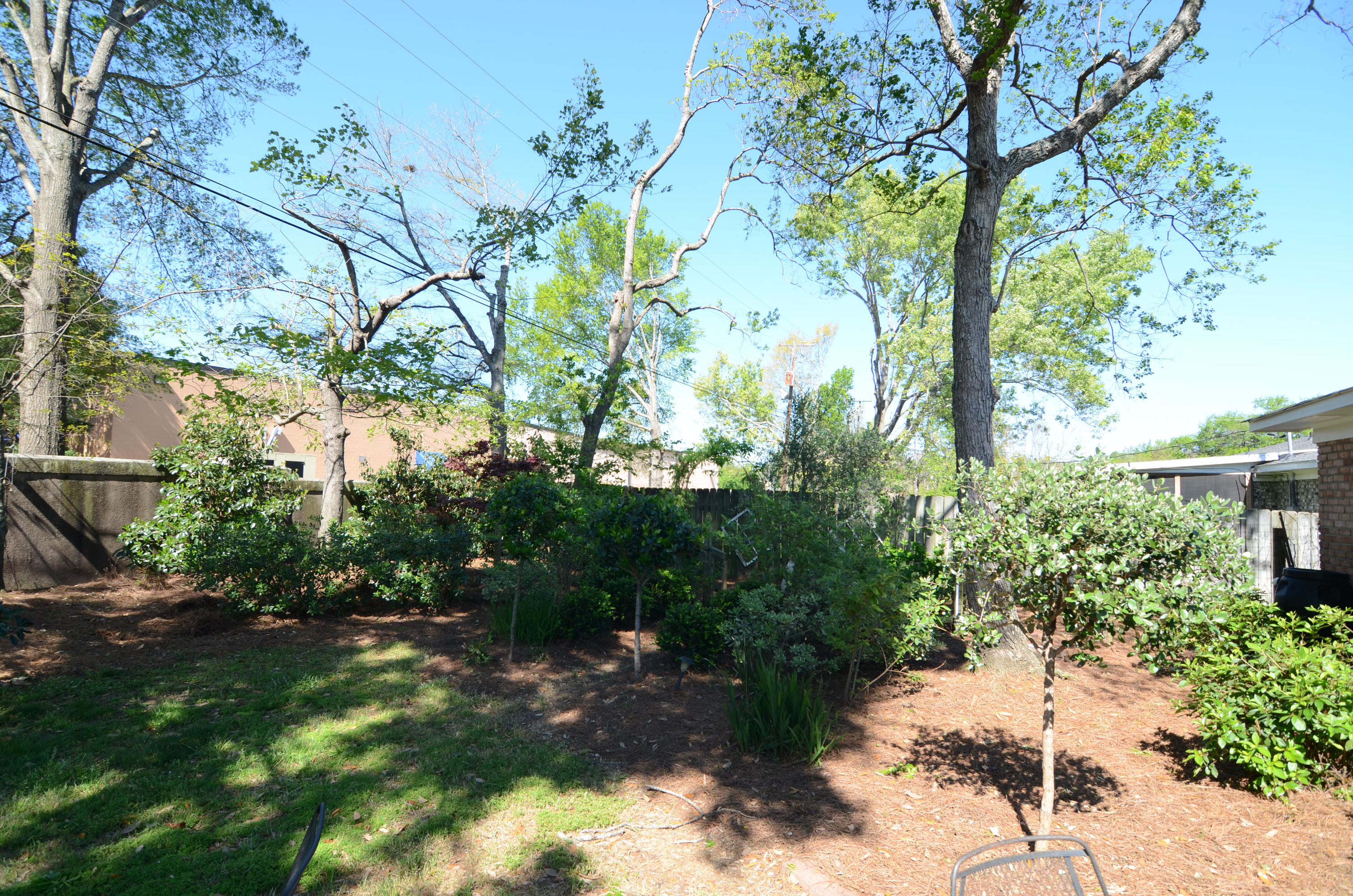 1953 Ivy Hall Road Charleston, SC 29407 - Photo 3 of 22 3 beautifully landscaped back yard