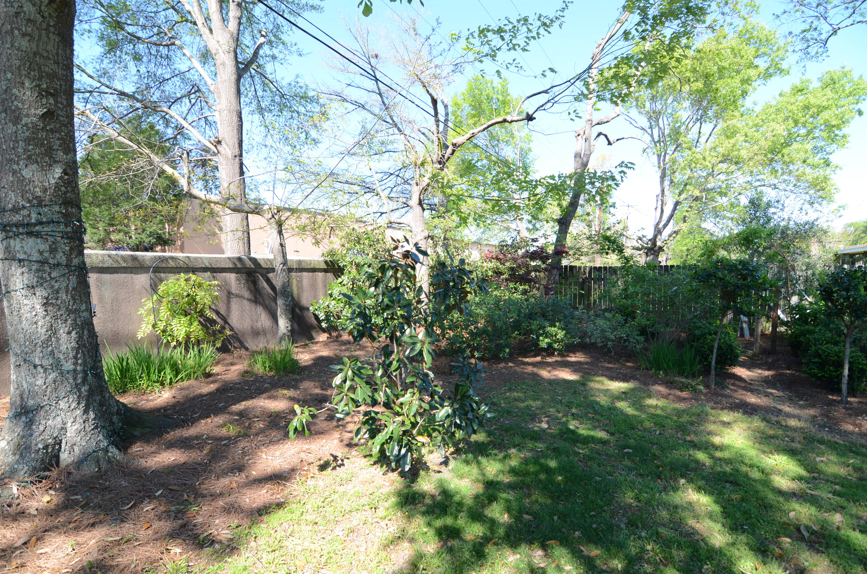 1953 Ivy Hall Road Charleston, SC 29407 - Photo 4 of 22 4 landscaped back yard