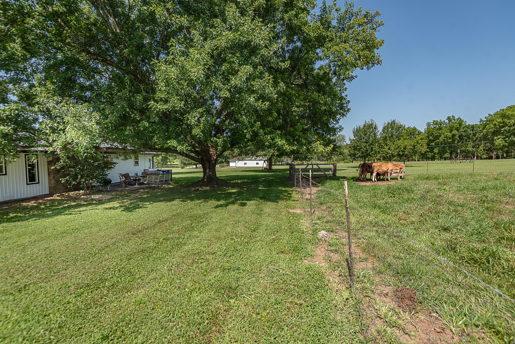 1905 East Webb Road Ozark, MO 65721 - Photo 56 of 81 webb-14