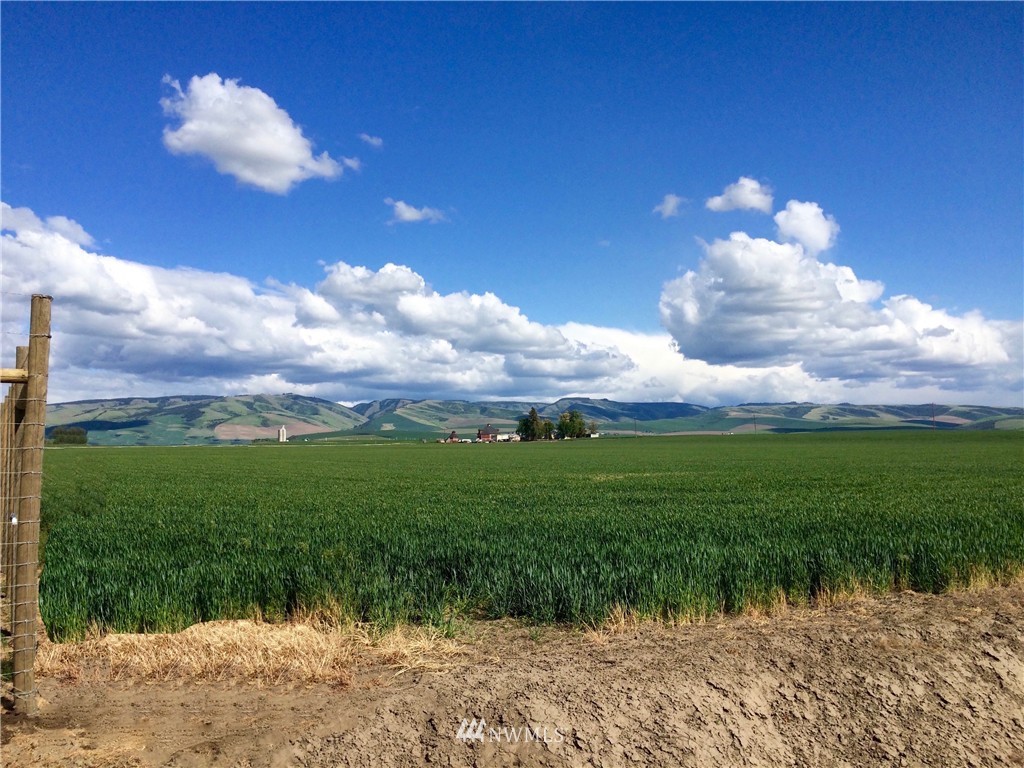 3785 Powerline Road Walla Walla, WA 99362 - Photo 1 of 1 Gallery Image 1