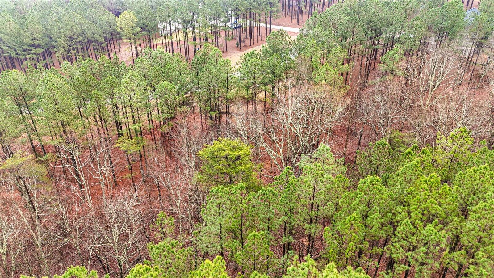 114 Compass Drive Jasper, TN 37347 - Photo 14 of 33 10-108 Compass Dr-10