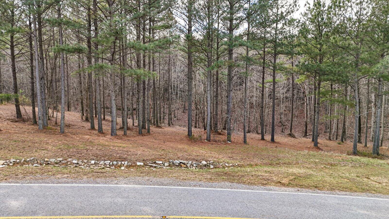 114 Compass Drive Jasper, TN 37347 - Photo 7 of 33 07-108 Compass Dr-24