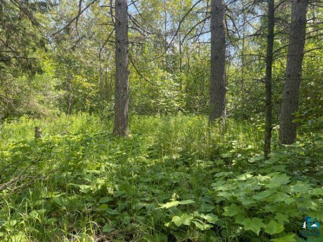 6-xx Pleasant View Road Duluth, MN 55803 - Photo 6 of 6