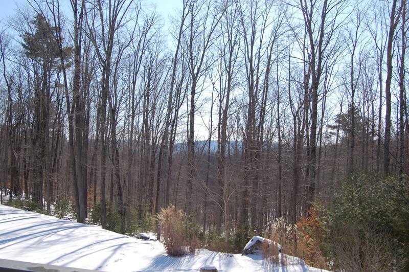 275 Hupi Road Monterey, MA 01245 - Photo 3 of 40 a wooden bench with trees in front of it