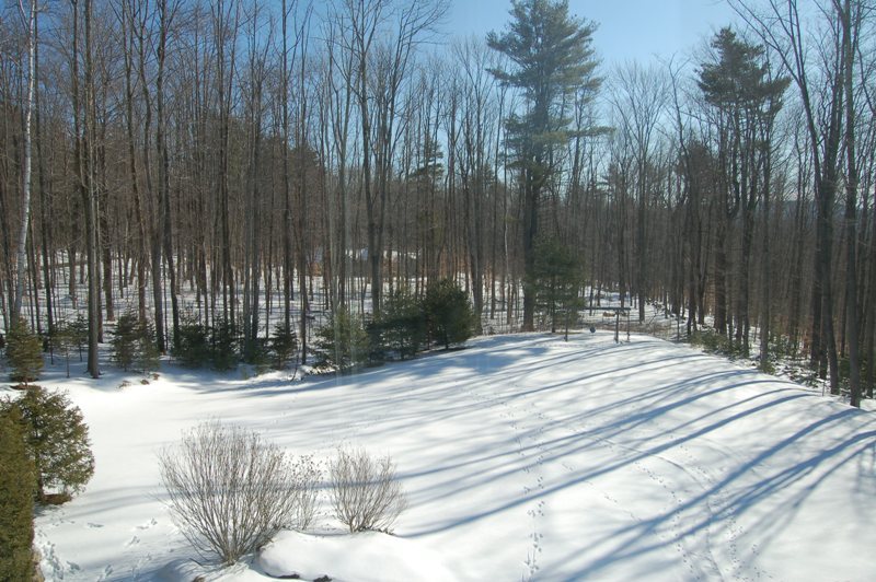 275 Hupi Road Monterey, MA 01245 - Photo 33 of 40