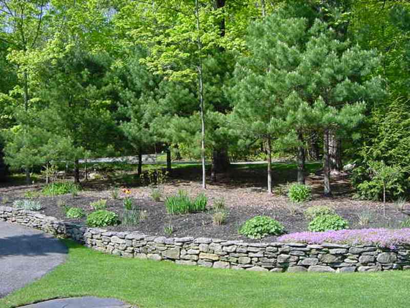 275 Hupi Road Monterey, MA 01245 - Photo 39 of 40 a view of a backyard with potted plants and large trees