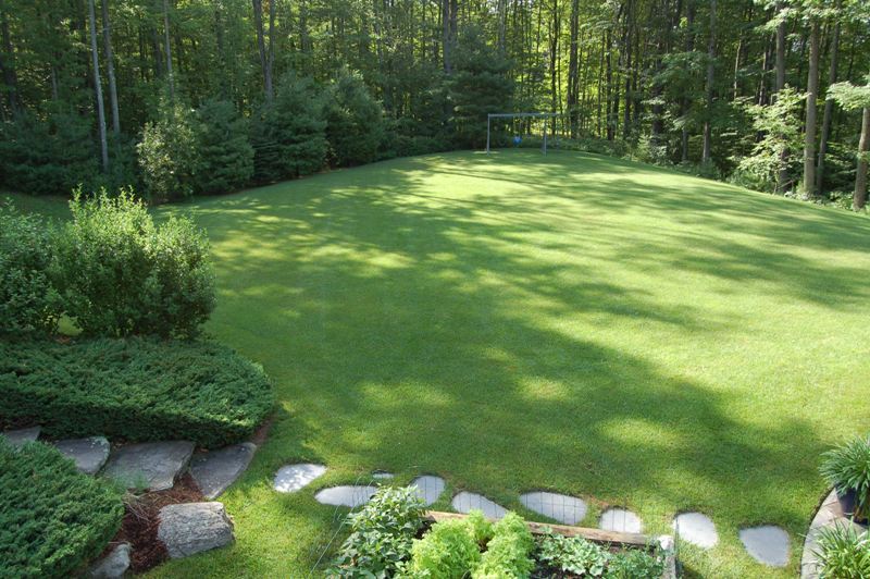 275 Hupi Road Monterey, MA 01245 - Photo 10 of 40 a backyard of a house with lots of green space