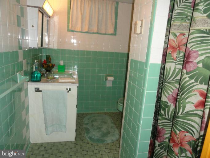 17112 Lappans Road Hagerstown, MD 21740 - Photo 15 of 30 Basement Bath With Shower