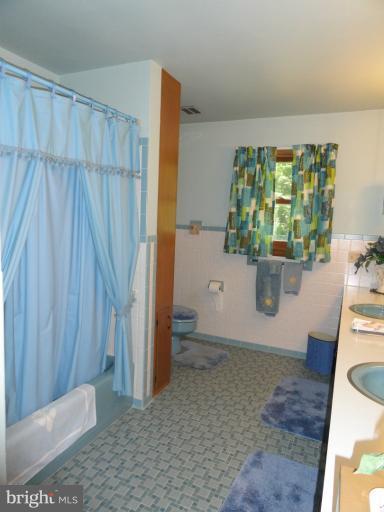 17112 Lappans Road Hagerstown, MD 21740 - Photo 21 of 30 Main Bath w/Double Sink