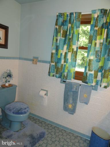 17112 Lappans Road Hagerstown, MD 21740 - Photo 7 of 30 Main Bath