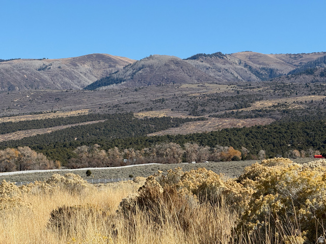 6 Pine Creek Road, Unit 6 Mount Pleasant, UT 84647 - Photo 4 of 11