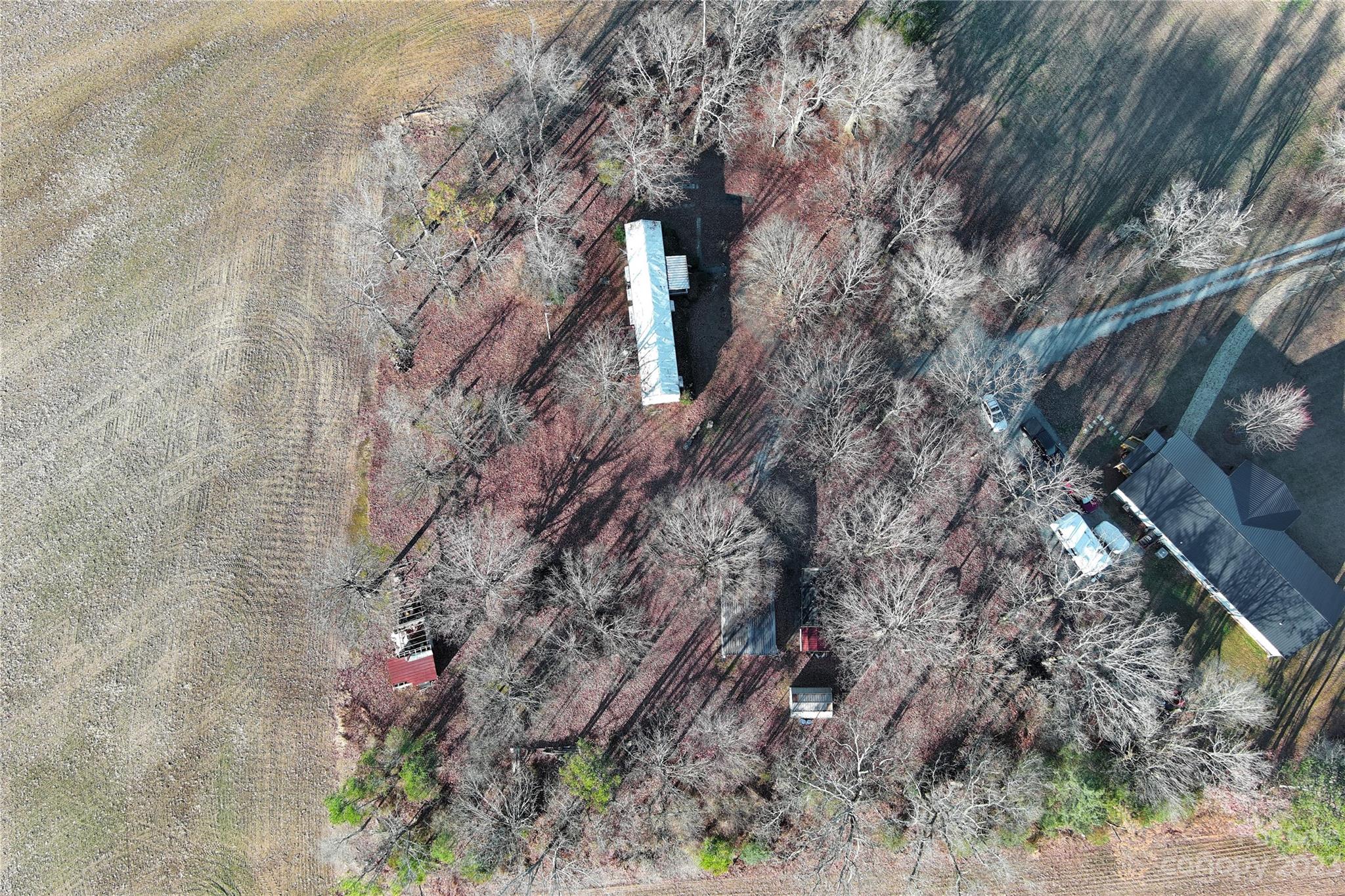 2508 Stack Road Monroe, NC 28112 - Photo 3 of 36 a picture of trees
