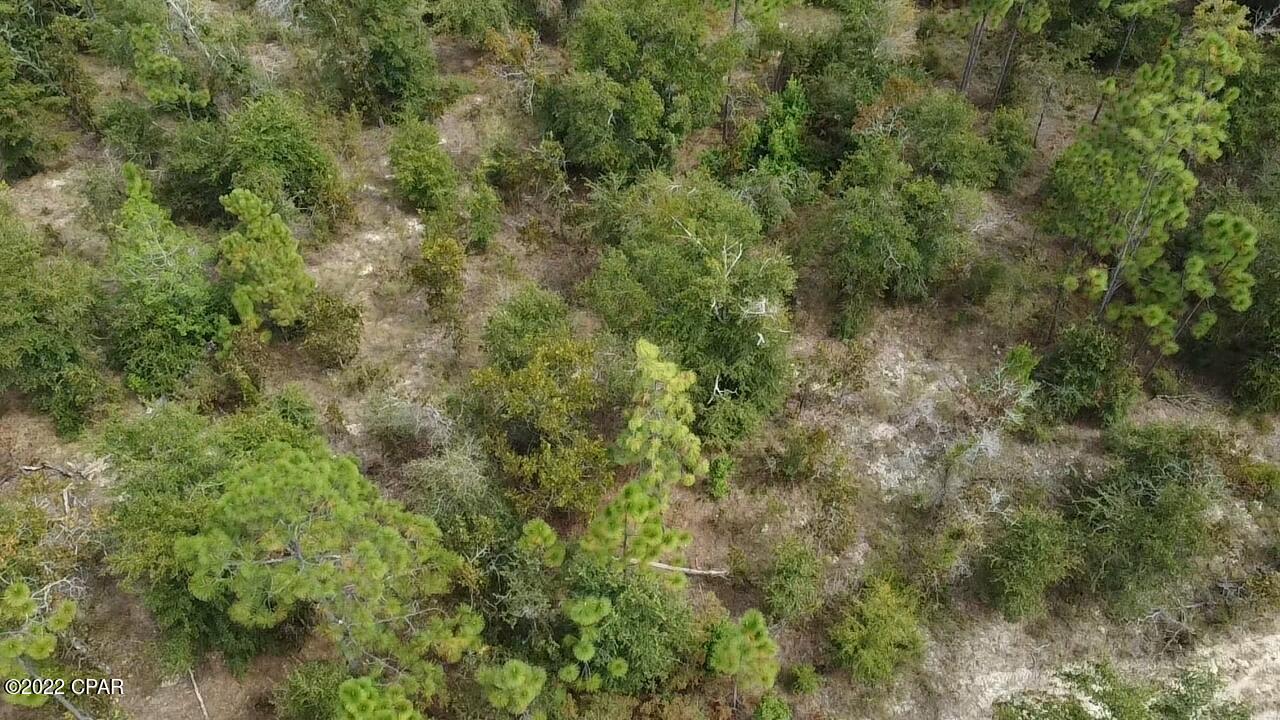Xxx Richard Hardy Road West Bristol, FL 32321 - Photo 4 of 23