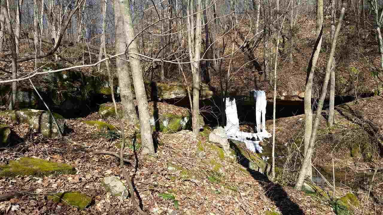3720 South Fellows Rdg Road Bloomfield, IN 47424 - Photo 11 of 34 Gallery Image 11