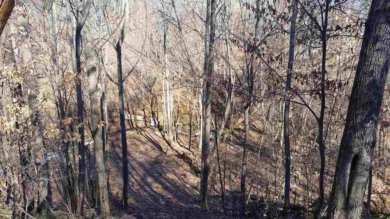 3720 South Fellows Rdg Road Bloomfield, IN 47424 - Photo 18 of 34 Gallery Image 18