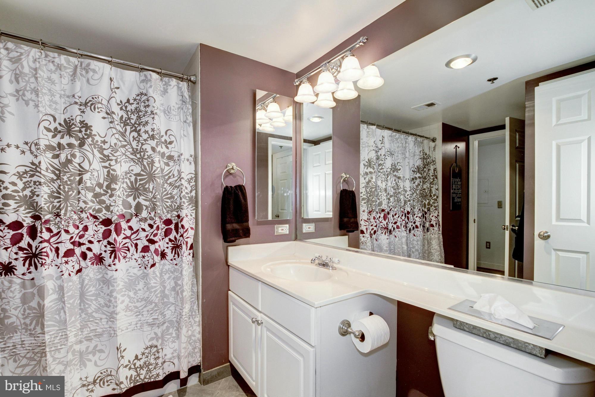 1045 North Utah Street, Unit 2105 Arlington, VA 22201 - Photo 8 of 15 Bath (Master)