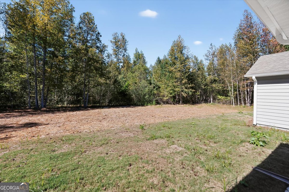 1570 The Rock Road Thomaston, GA 30286 - Photo 39 of 53