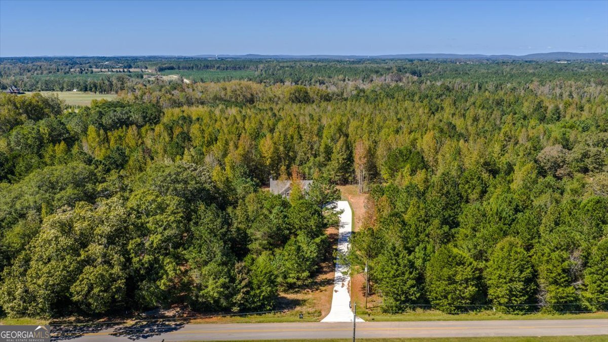 1570 The Rock Road Thomaston, GA 30286 - Photo 45 of 53