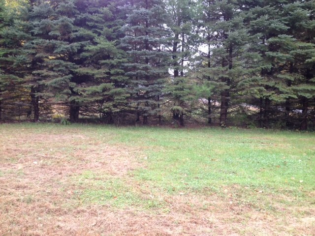 339 Poverty Plains Road Warner, NH 03278 - Photo 11 of 11 Gallery Image 11