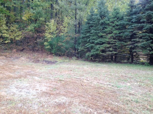 339 Poverty Plains Road Warner, NH 03278 - Photo 10 of 11 Gallery Image 10