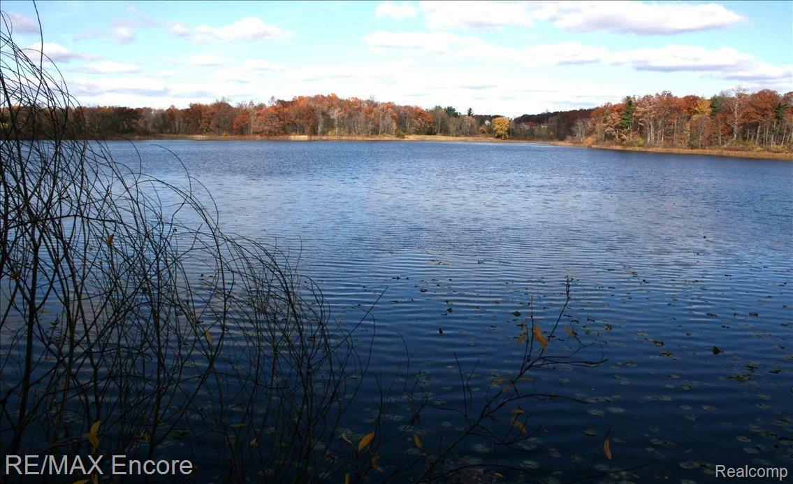 5279 Wayne Road White Lake, MI 48383 - Photo 13 of 16 IMG_8007