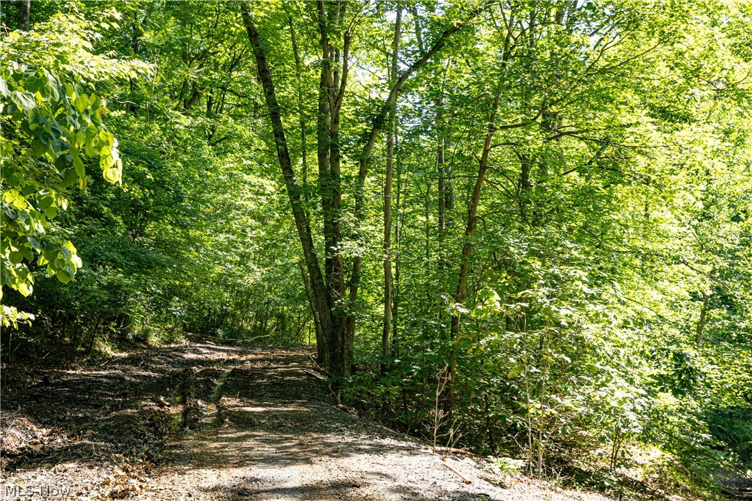 4185 Baughman Run Road Roseville, OH 43777 - Photo 19 of 29