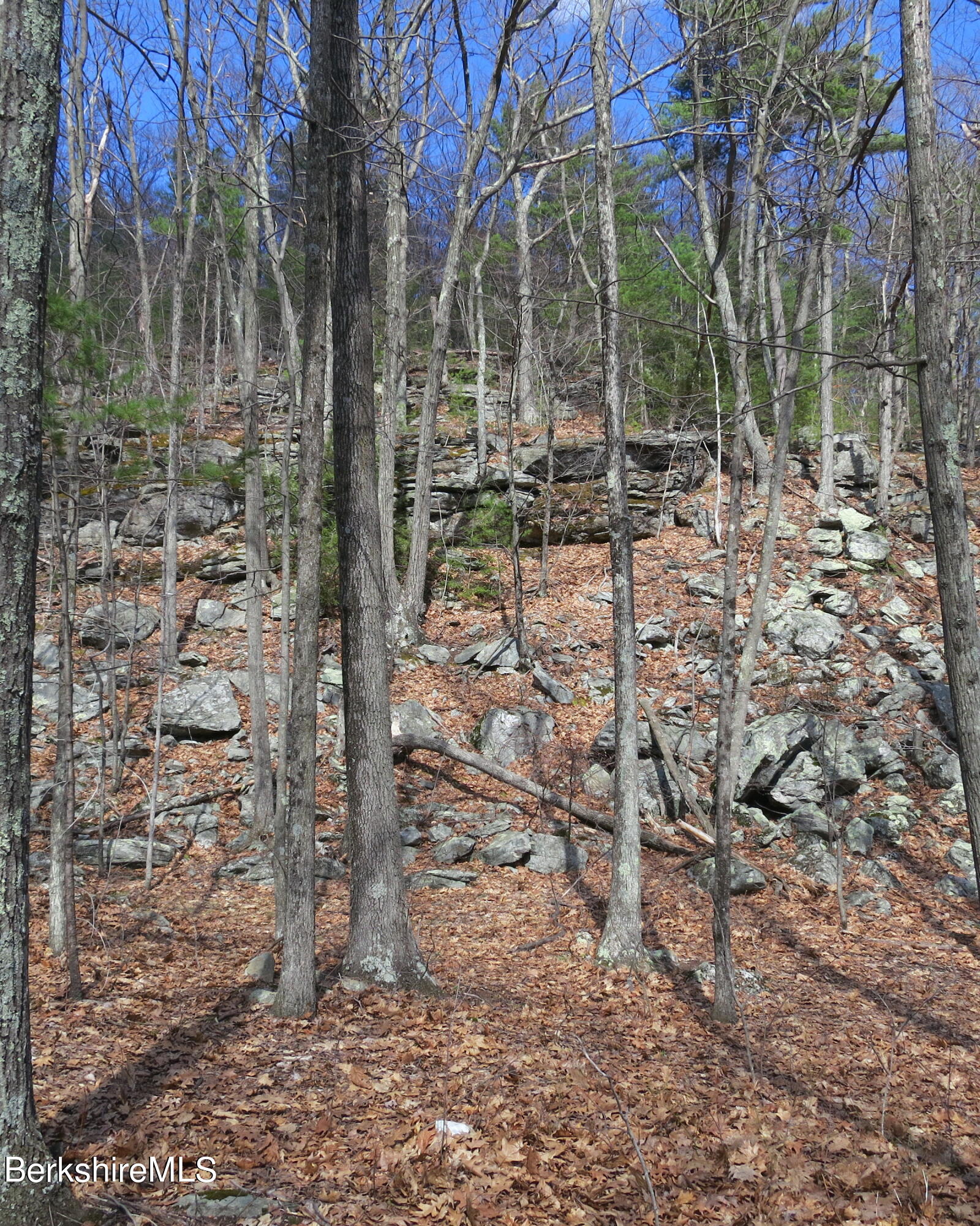 32 Sumner Mountain Road Amherst, MA 01002 - Photo 3 of 6 Lot #2-eastside ledge-1