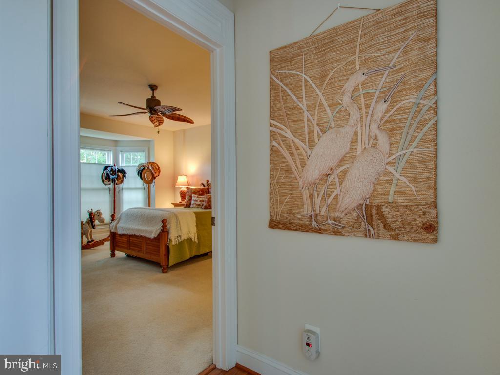 34163 High Knoll Road Lewes, DE 19958 - Photo 15 of 60 Gallery Image 15