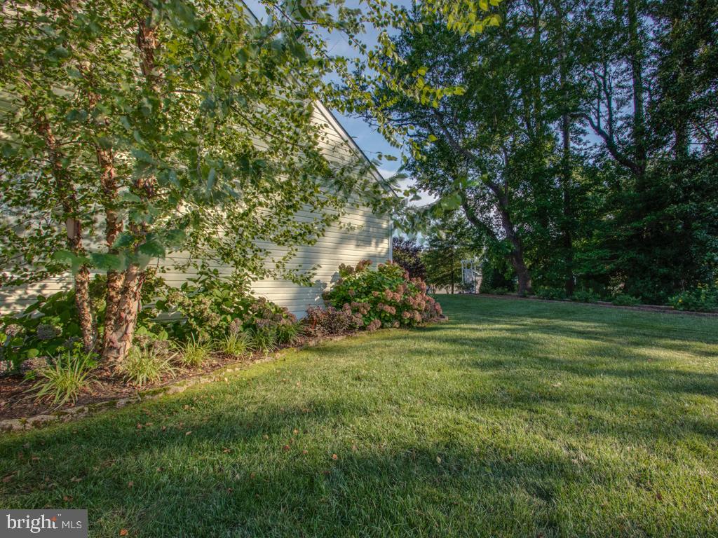 34163 High Knoll Road Lewes, DE 19958 - Photo 43 of 60 Gallery Image 43