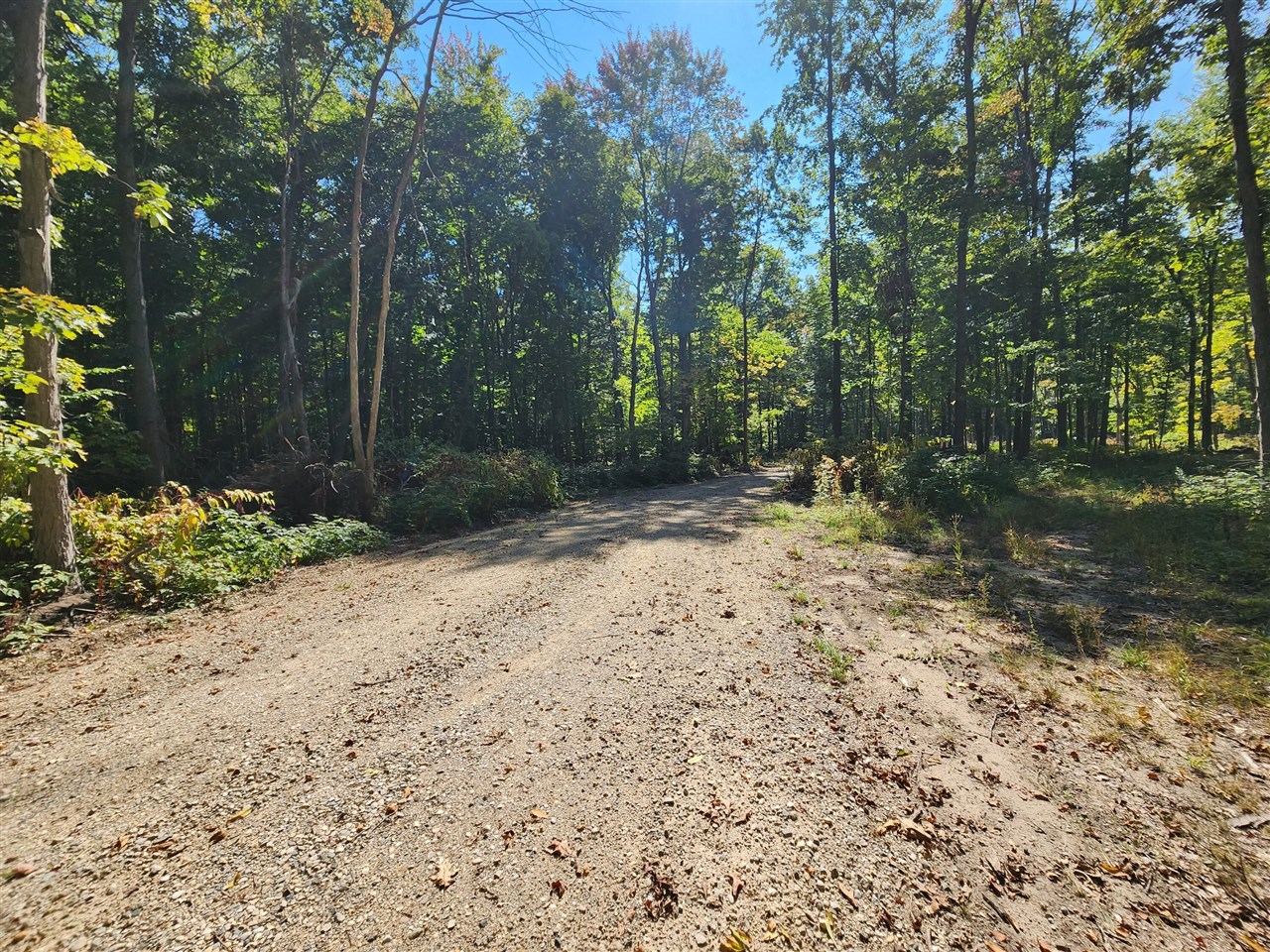 Lot F North Behler Road Bailey, MI 49303 - Photo 16 of 20