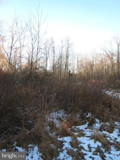 1209 Trappe Road Street, MD 21154 - Photo 7 of 15 Wooded View / Acreage