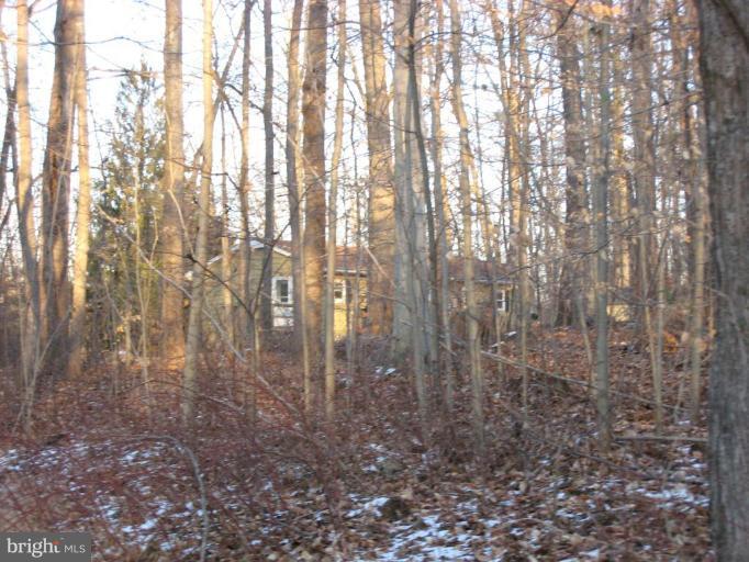 1209 Trappe Road Street, MD 21154 - Photo 9 of 15 Wooded View / Acreage 3