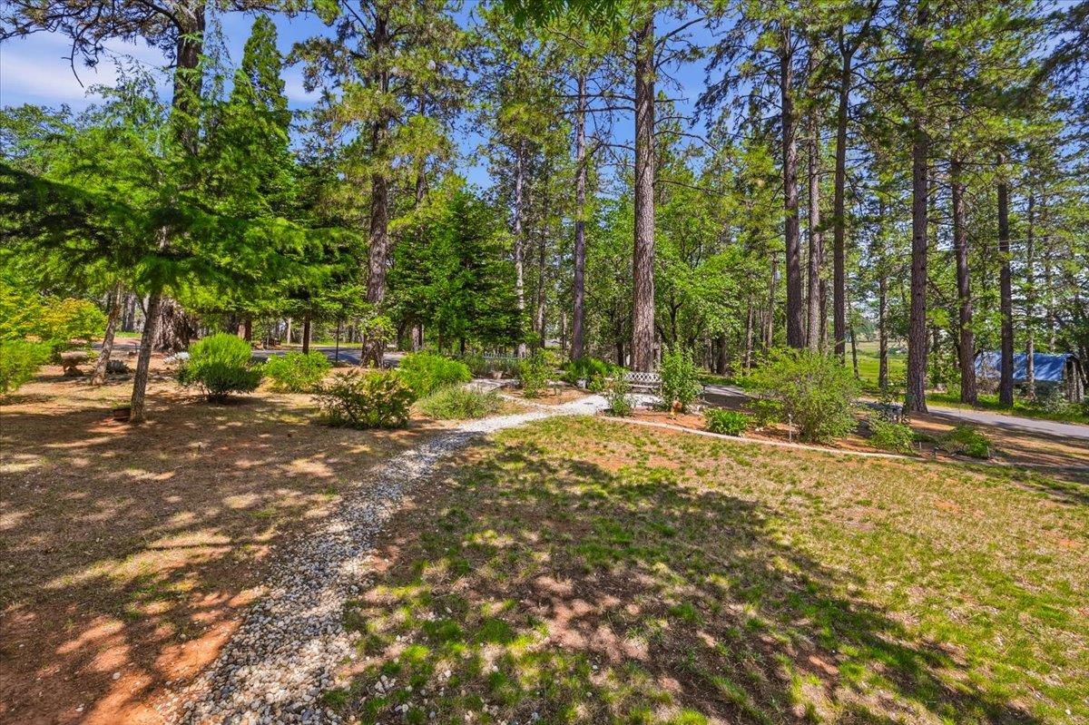 12600 Friar Tuck Road Grass Valley, CA 95949 - Photo 45 of 56 a view of street with trees