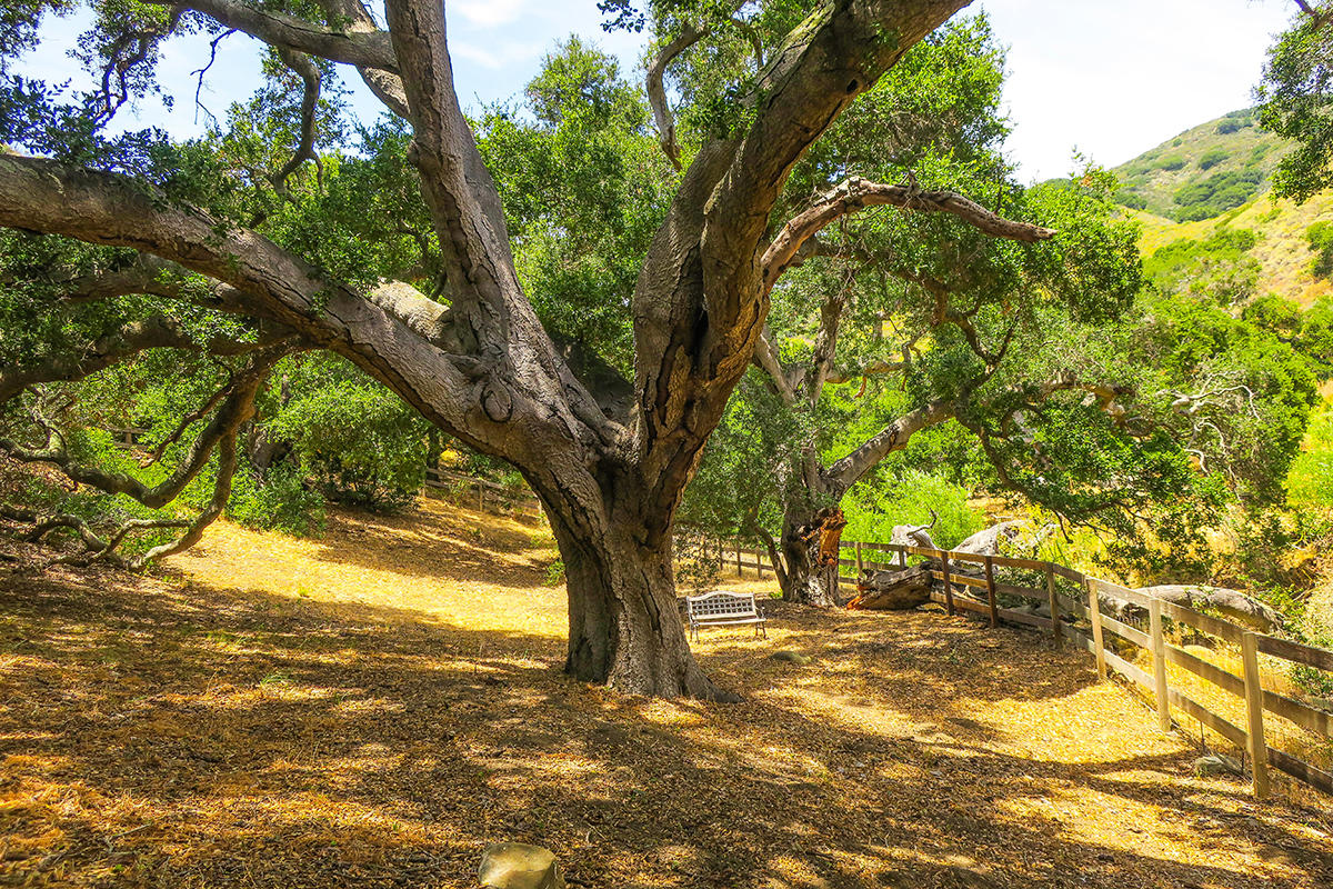 60 Hollister Ranch Road Goleta, CA 93117 - Photo 7 of 7 60PrivatePark