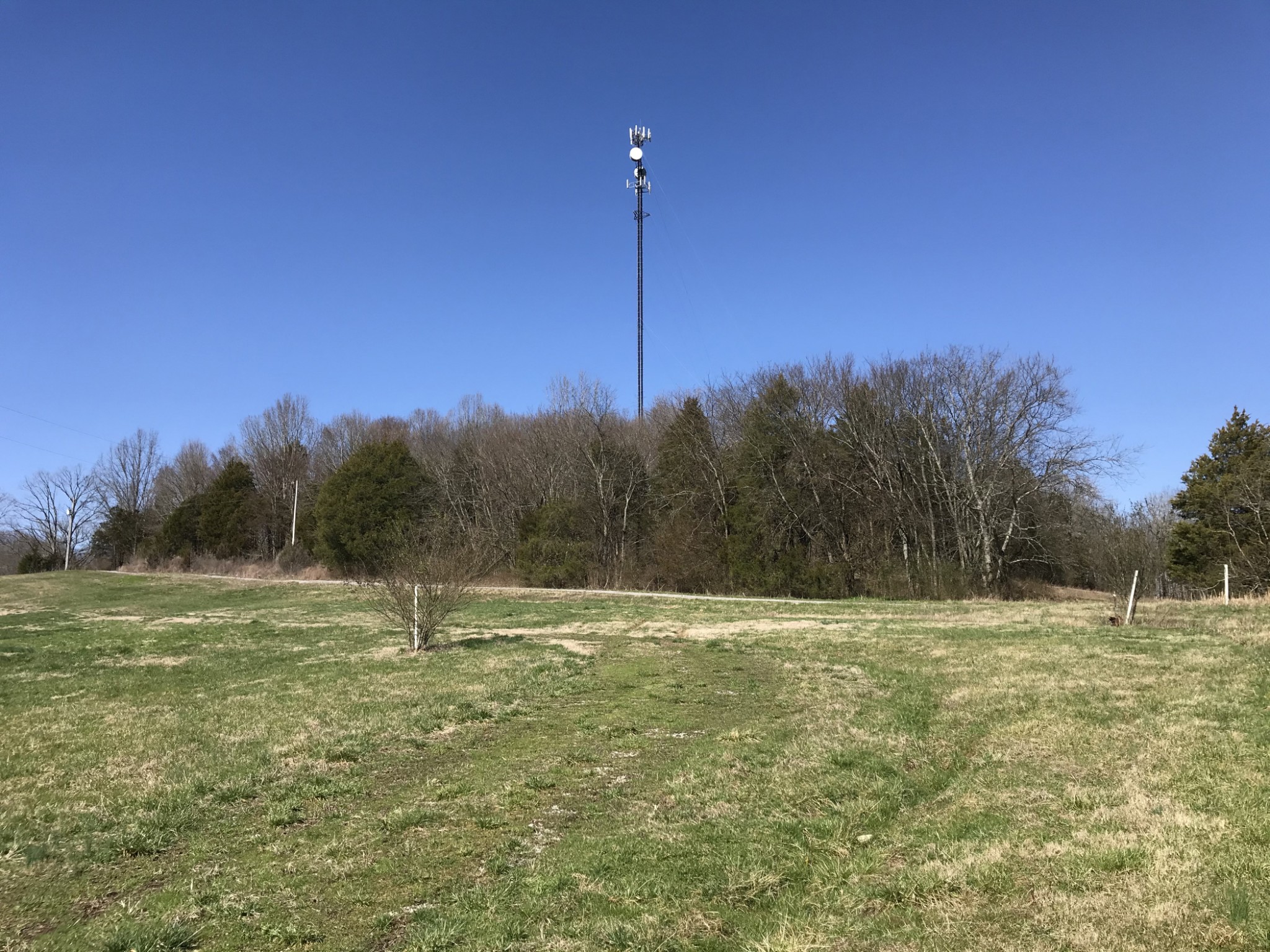 0 Hoovers Gap Road Beechgrove, TN 37018 - Photo 2 of 4 a backyard of a house with lots of green space
