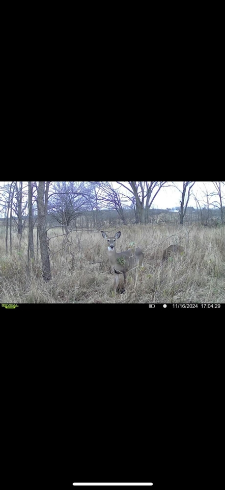 0 Keim Road Clarksville, MI 49325 - Photo 15 of 15