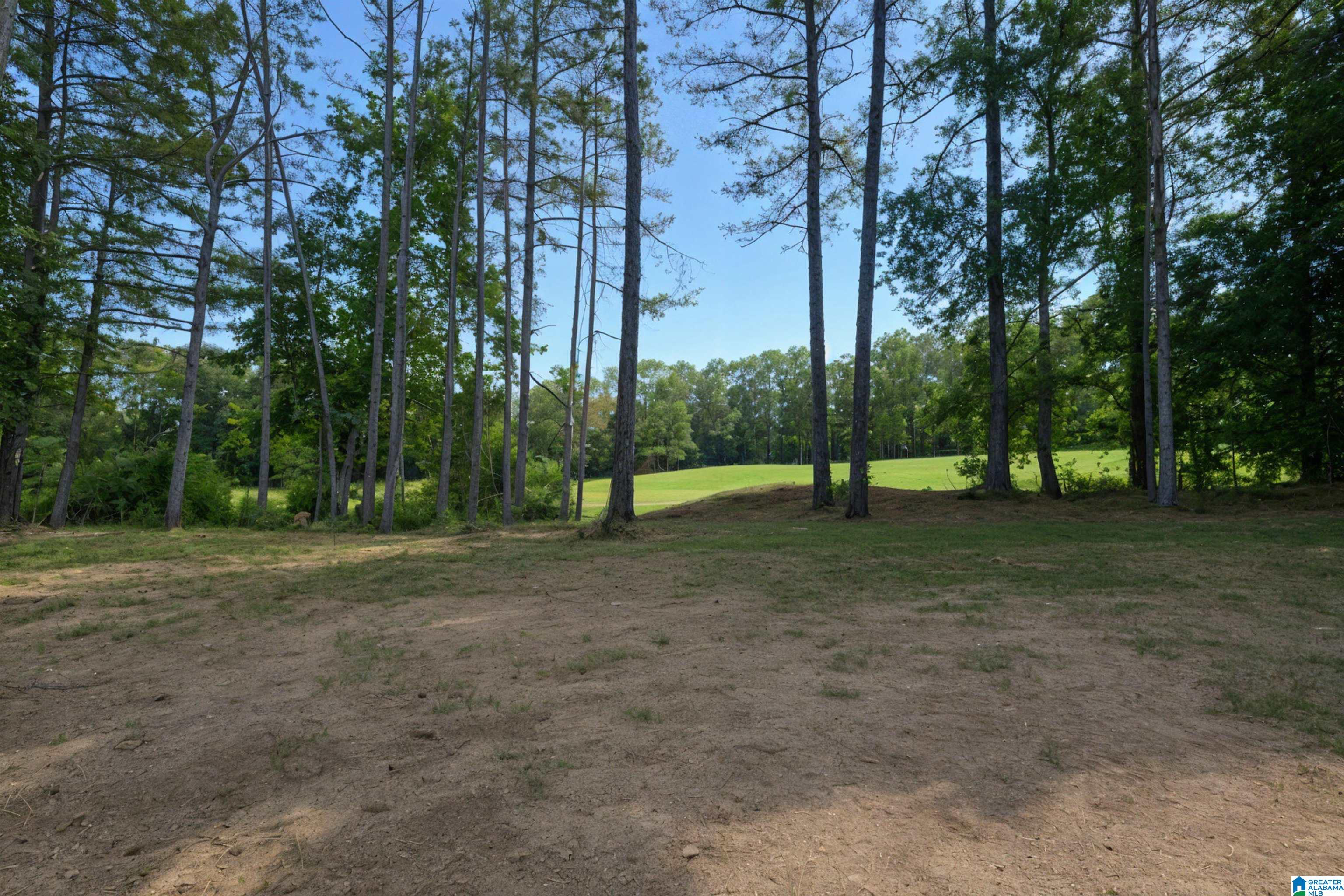 852 Sellers Hollow Road Dora, AL 35062 - Photo 50 of 59