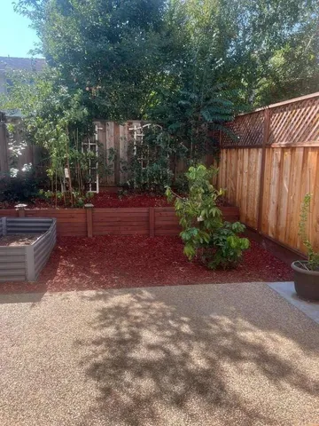 a view of a backyard with plants