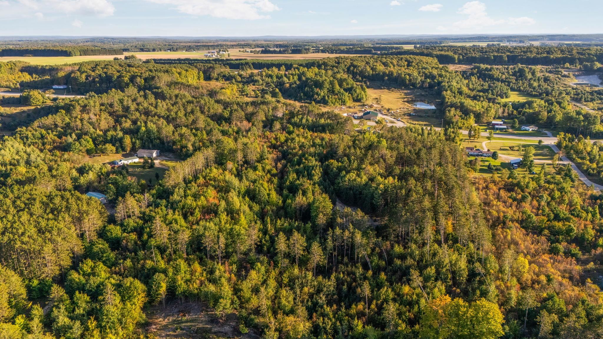 171 Colt Road Northeast Kalkaska, MI 49646 - Photo 20 of 25 Gallery Image 20