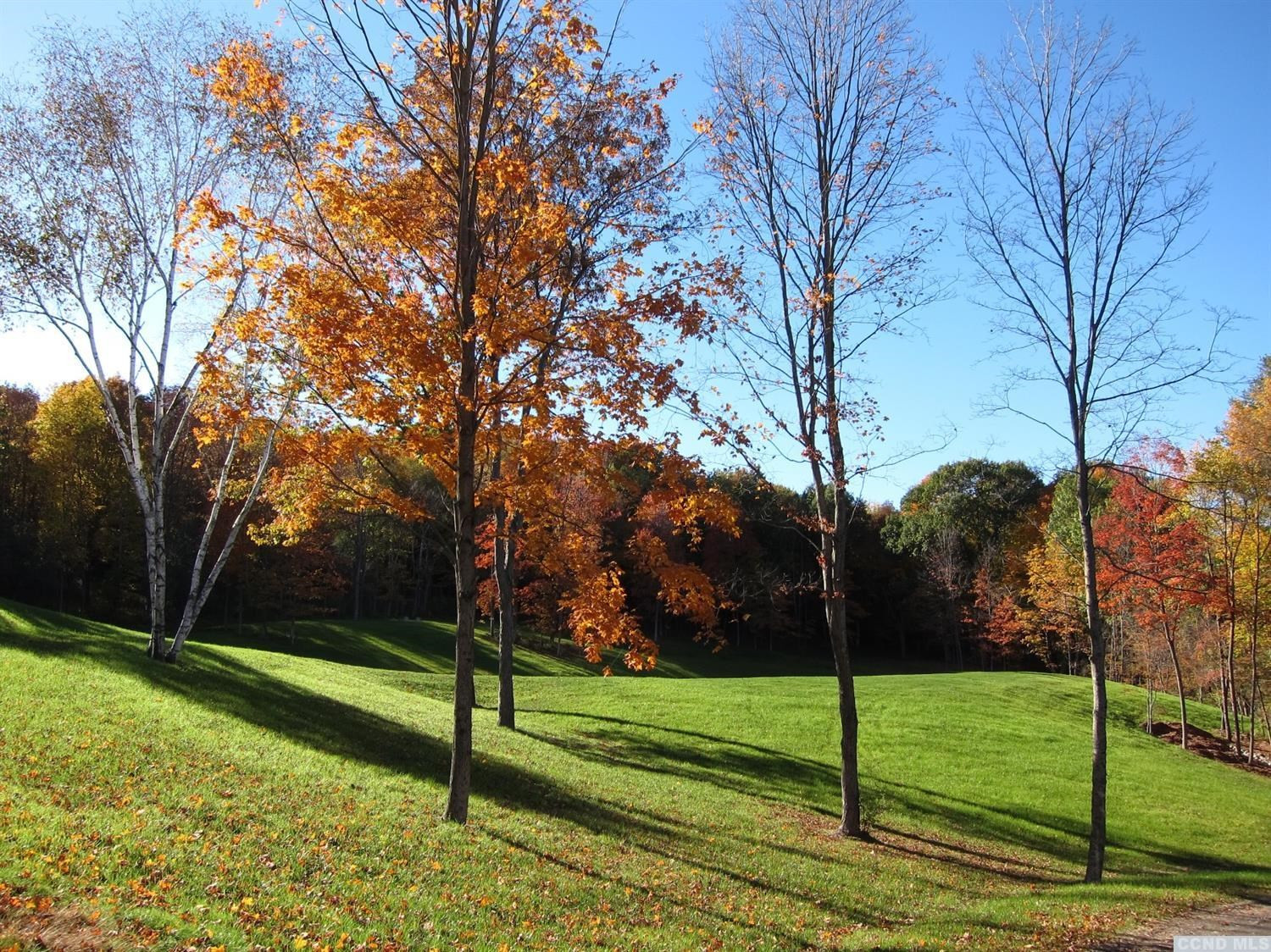 23 Less Traveled Road Chatham, NY 12060 - Photo 9 of 10 Photo 9
