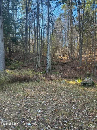 $159,000 | 3733 Highway 28, Johnsburg, NY 12853