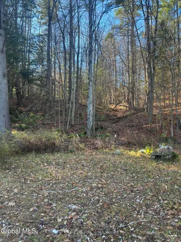 $199,000 | 3733 Highway 28, Johnsburg, NY 12853