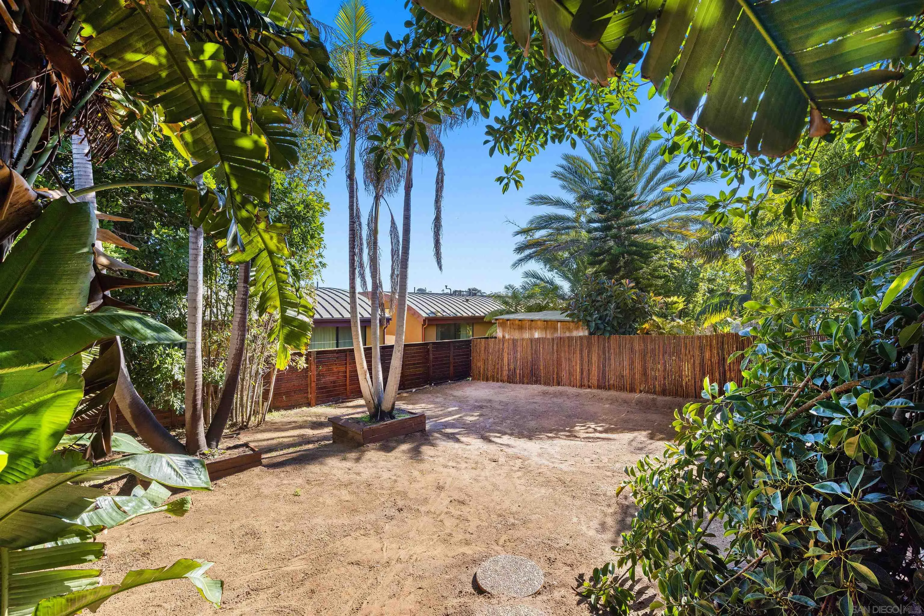 843 Neptune Avenue Encinitas, CA 92024 - Photo 35 of 49 a view of backyard with potted plants and large tree