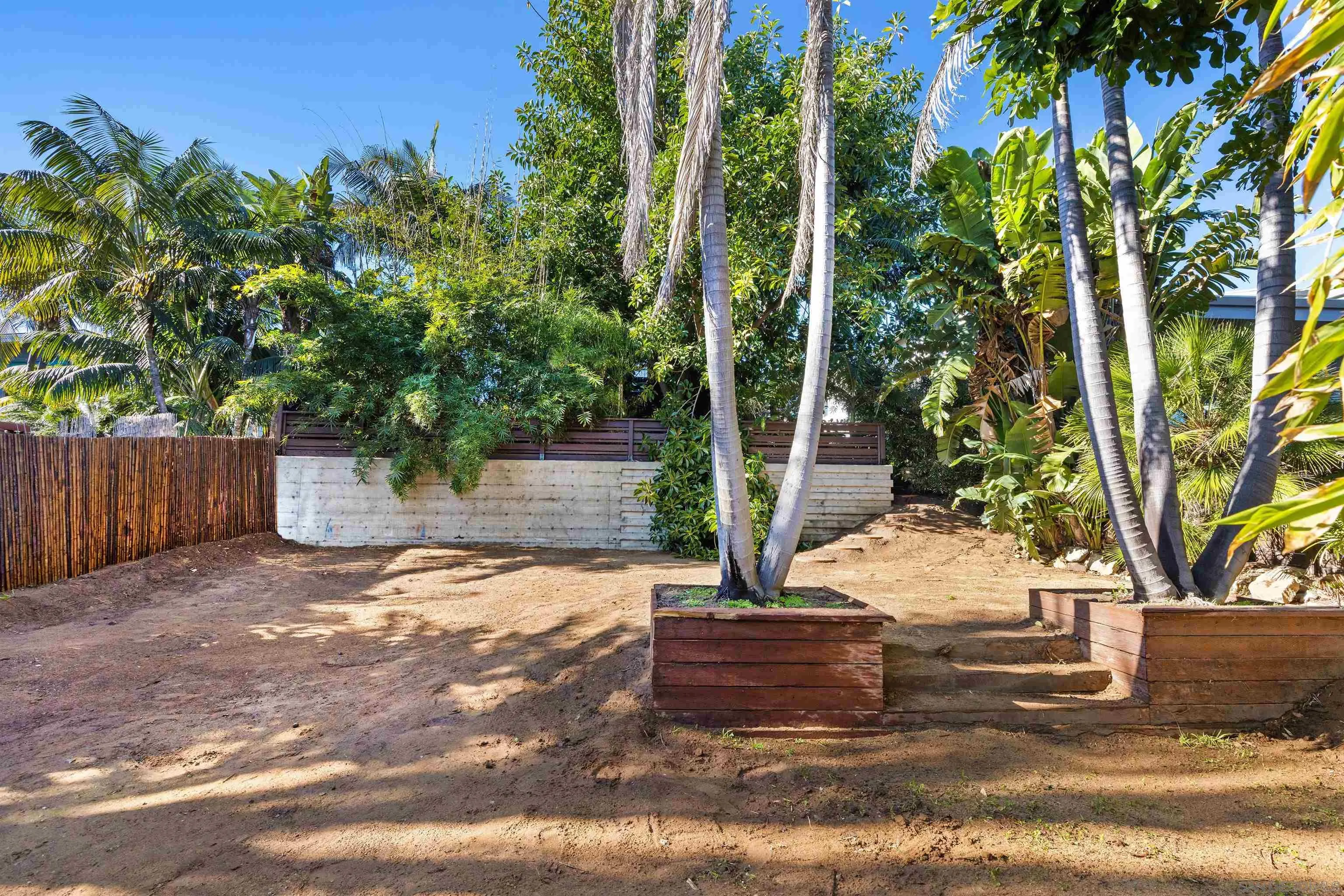 843 Neptune Avenue Encinitas, CA 92024 - Photo 40 of 49 a view of a yard with plants and trees beside of it