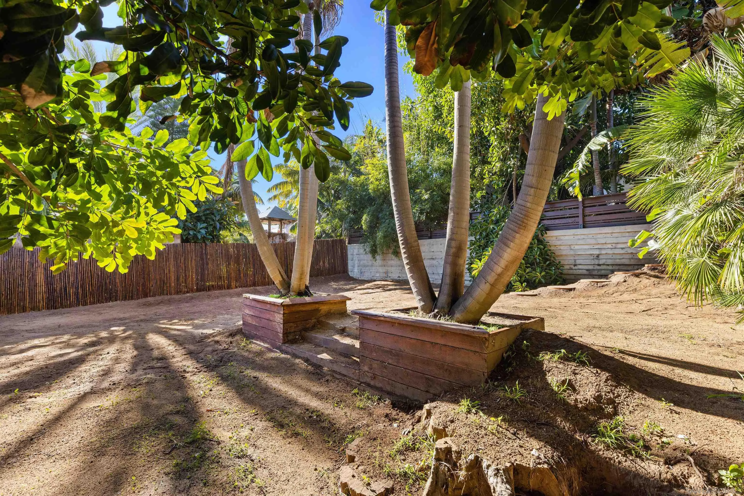 843 Neptune Avenue Encinitas, CA 92024 - Photo 41 of 49 a view of a backyard with large trees