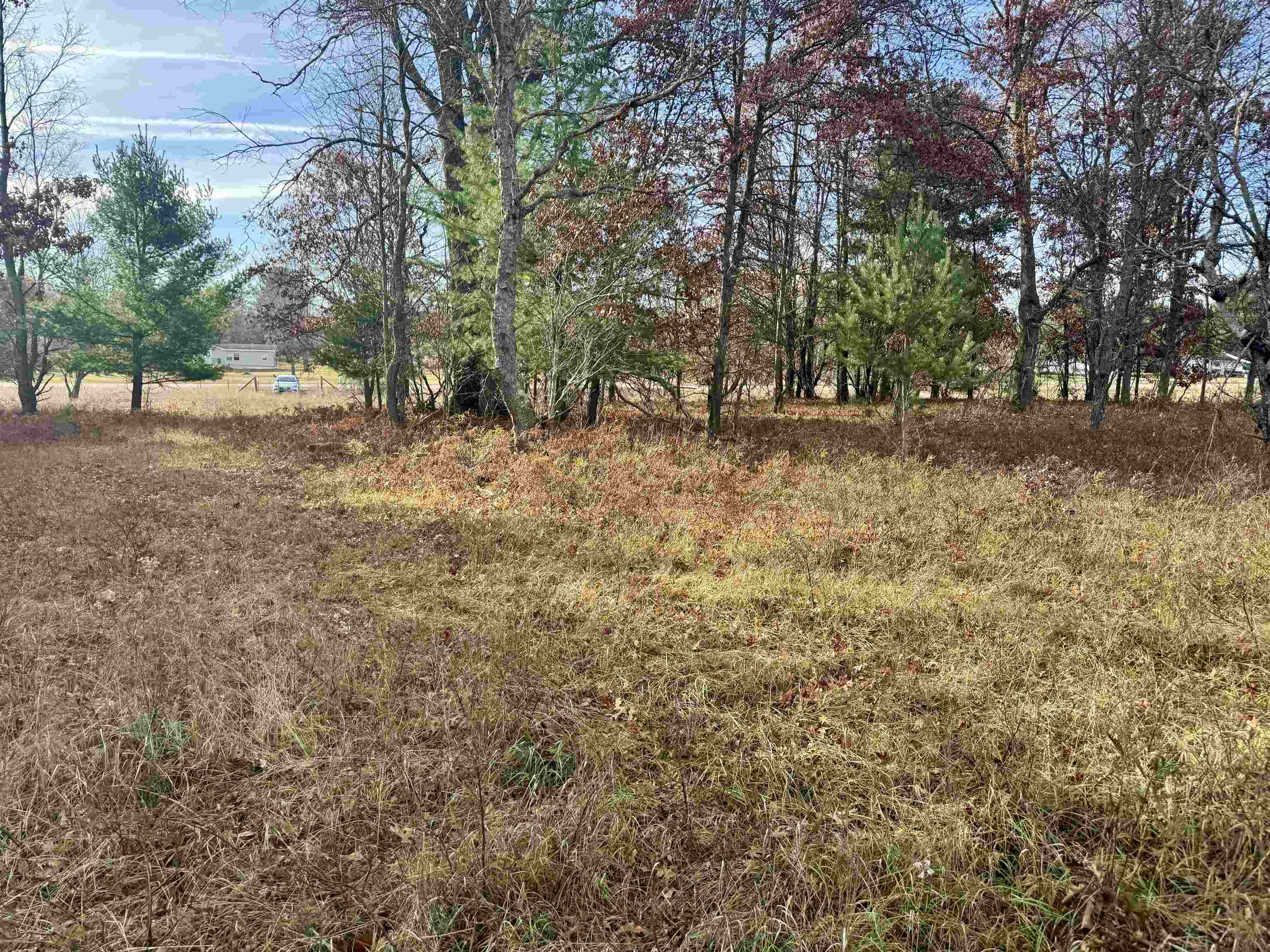 Parcel E West Rosted Road Lake City, MI 49651 - Photo 5 of 23