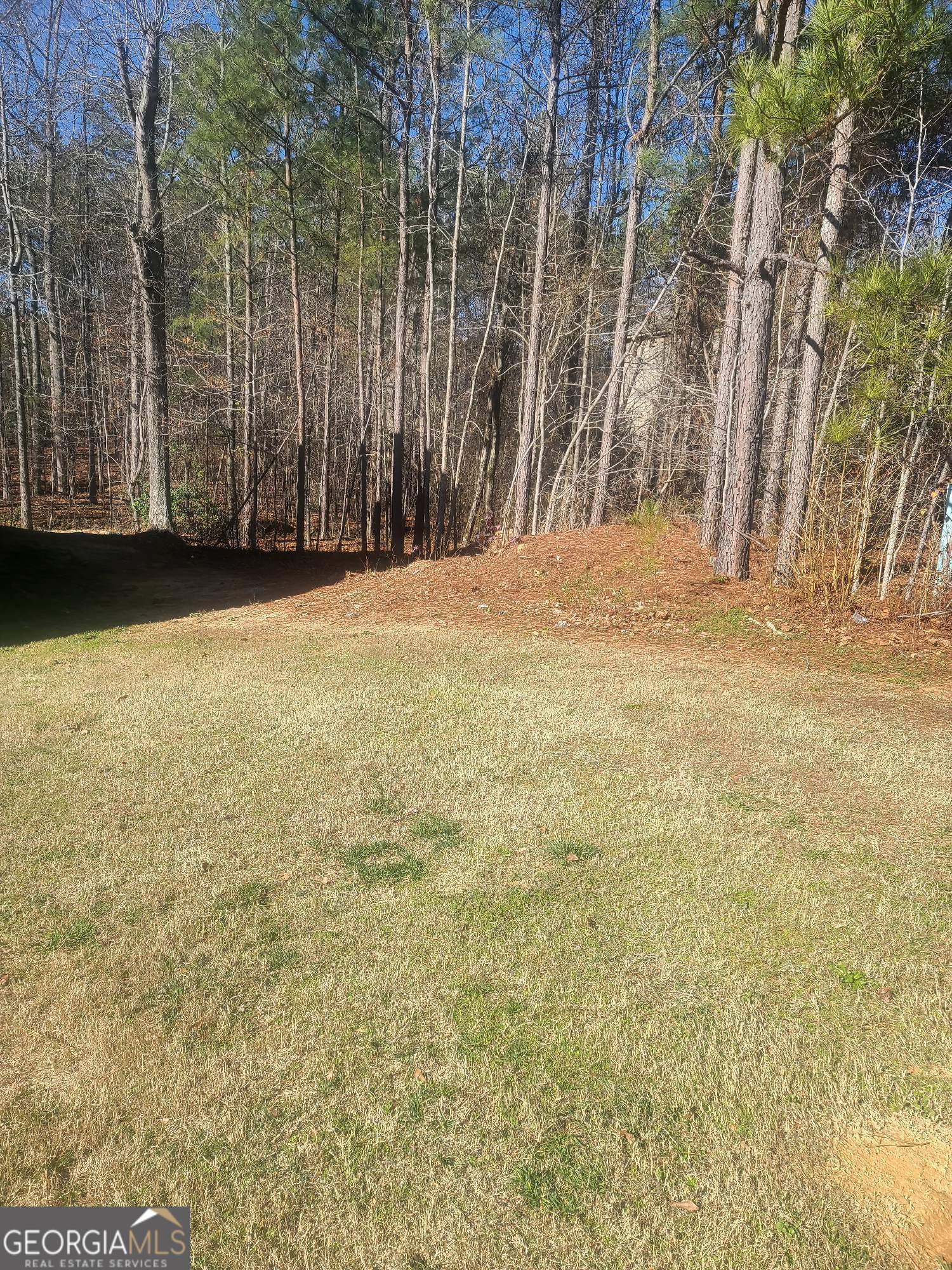 1385 Pebble Ridge Drive Hampton, GA 30228 - Photo 2 of 5 a view of outdoor space with wooden fence