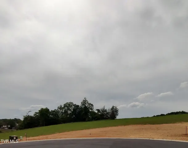 $99,500 | Lot 19 Steepleview Court, Unit 19, Jonesborough, TN 37659