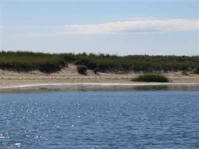 Undisclosed Address Centerville, MA 02632 - Photo 5 of 13 a view of ocean view